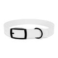 Devine Decree Ministries Dog Collar — Custom Religious Pet Collar
