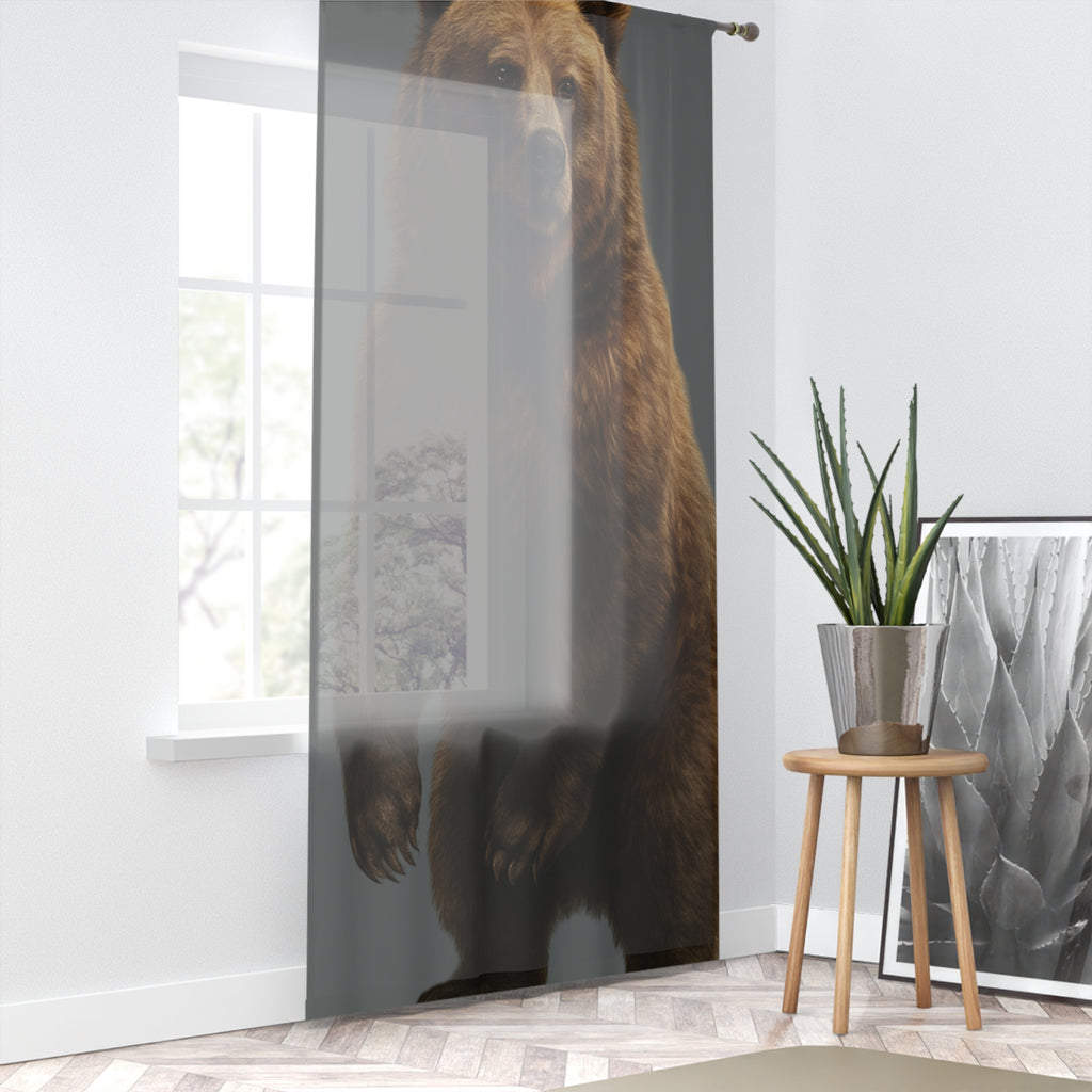 Window Curtain