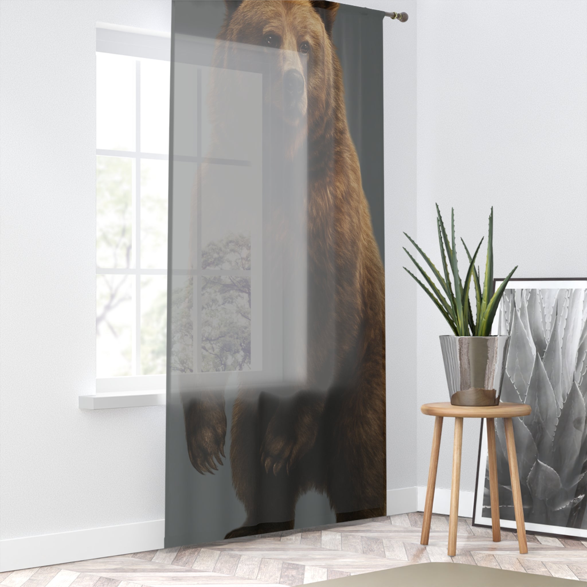 Window Curtain