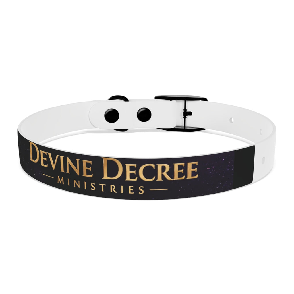 Devine Decree Ministries Dog Collar — Custom Religious Pet Collar