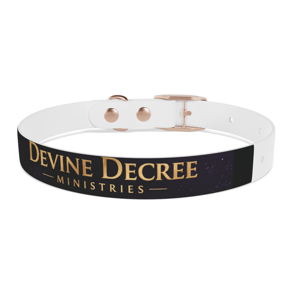 Devine Decree Ministries Dog Collar — Custom Religious Pet Collar