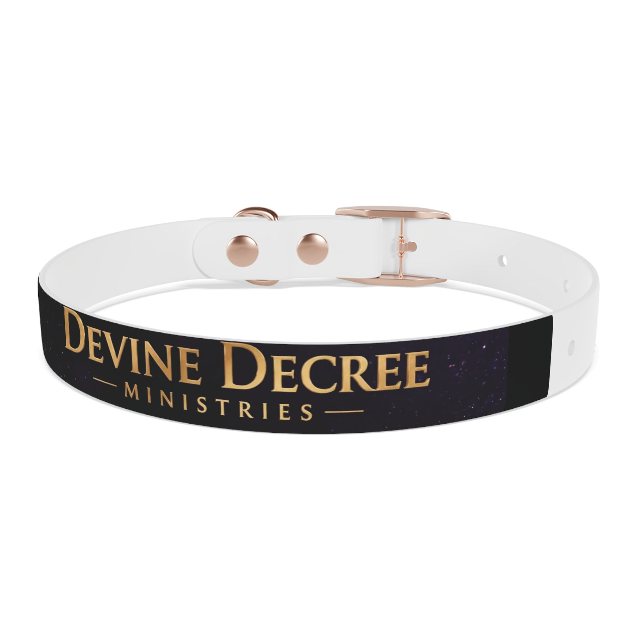 Devine Decree Ministries Dog Collar — Custom Religious Pet Collar