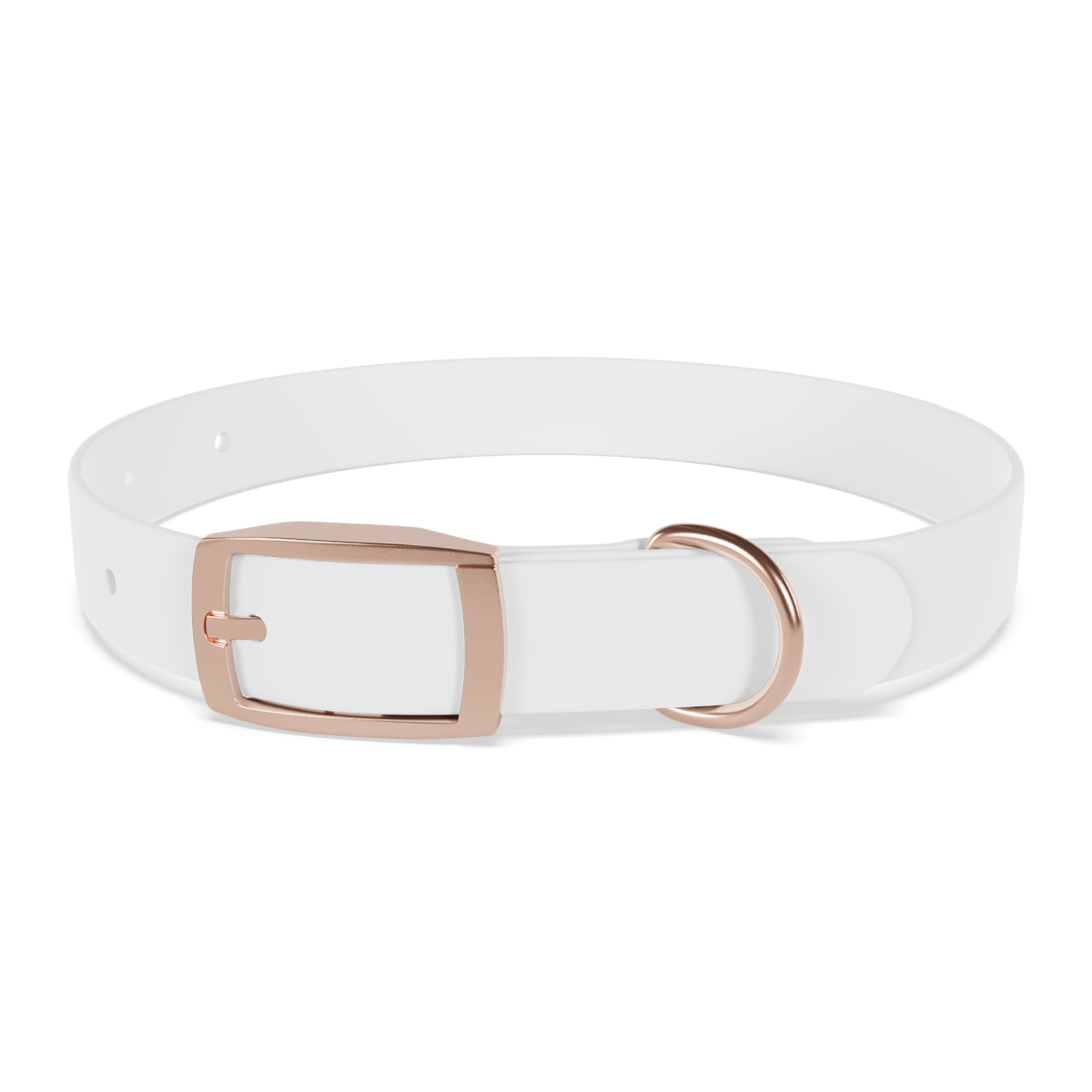 Devine Decree Ministries Dog Collar — Custom Religious Pet Collar