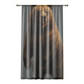 Window Curtain