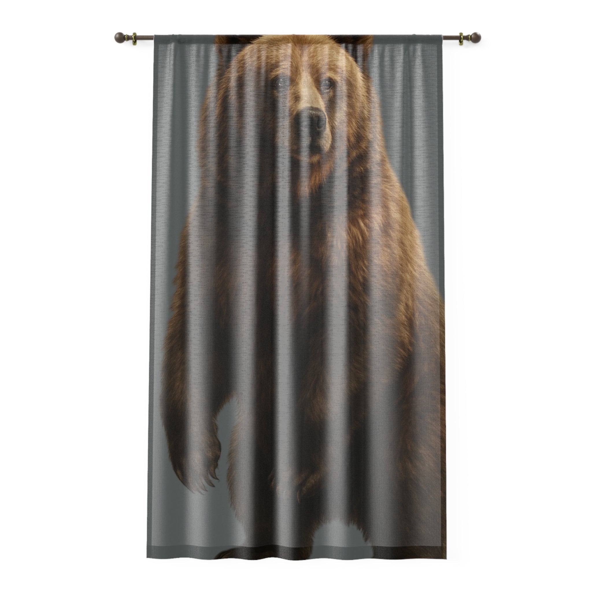 Window Curtain
